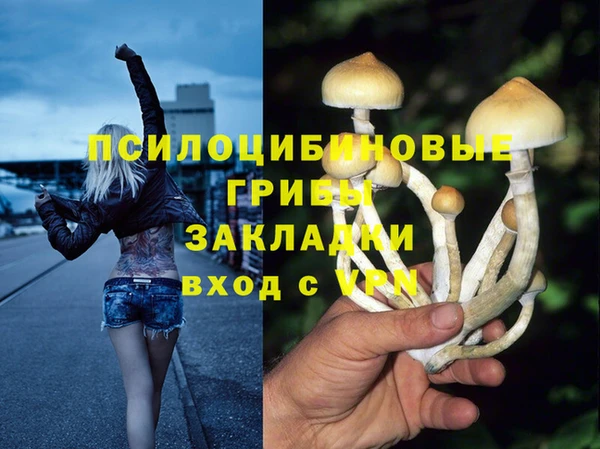 спиды Балахна
