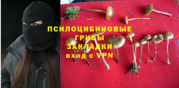 а пвп мука Балабаново