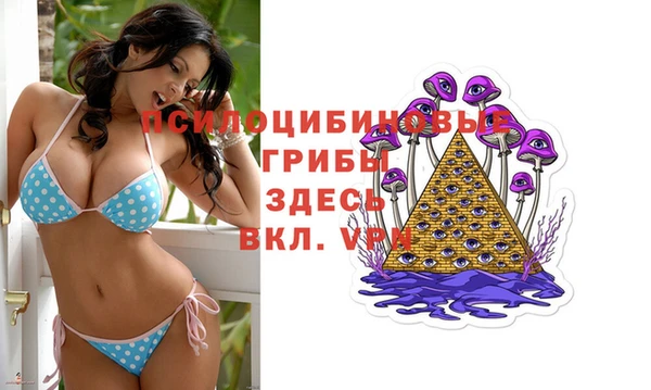 амф Надым