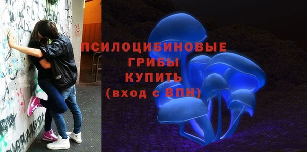 а пвп мука Балабаново